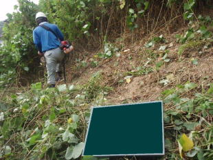 �����Ɩ�