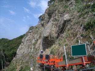 �}�X�΍H��