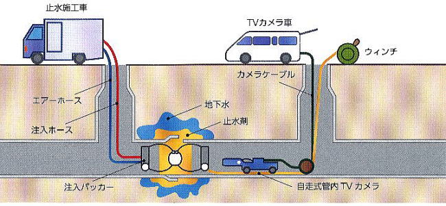 �p�b�J�[�~���{�H�C���[�W