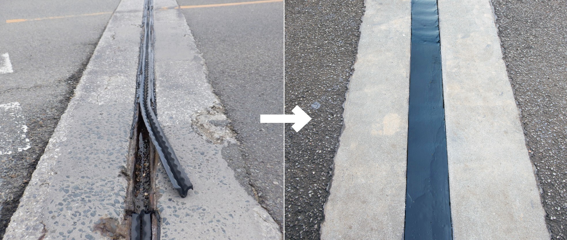 SM�W���C���g�{�H�O���{�H���r